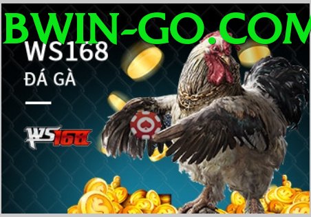 Đá Gà Trực Tiếp - bwin - Metaverse